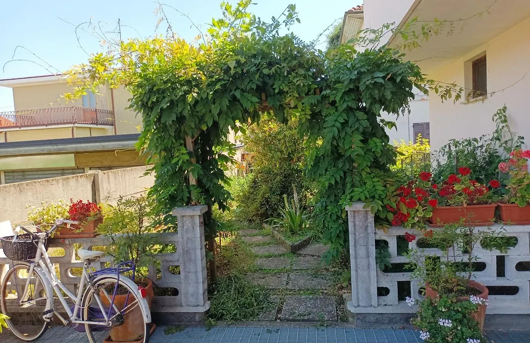 B&B Villa Bucceri-1
